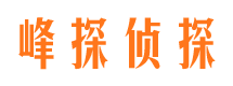 岳塘市侦探公司